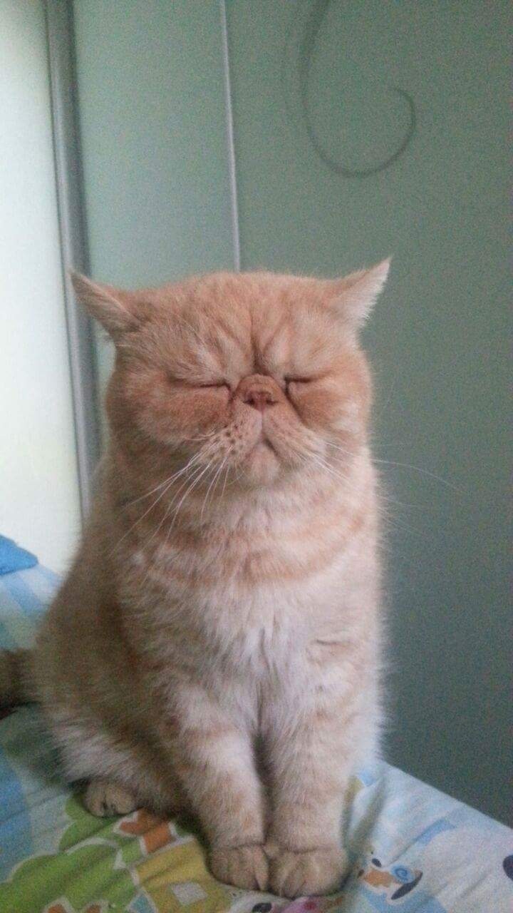 gallery/fb_img_1497073527542