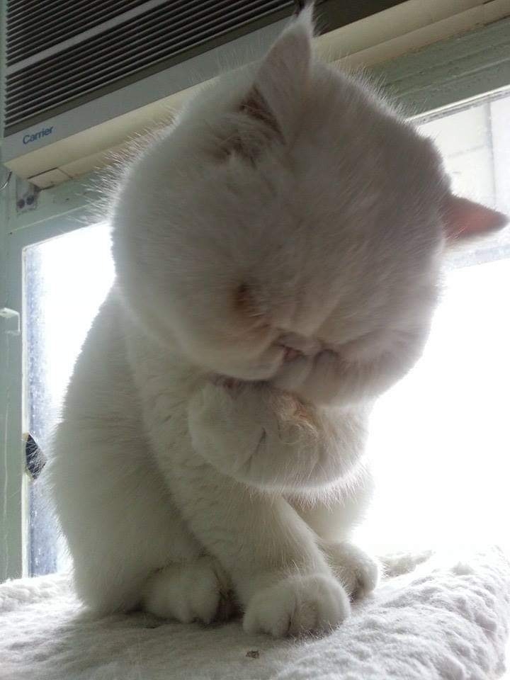 gallery/fb_img_1551706903628